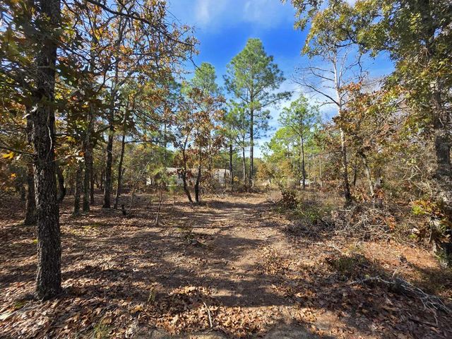 103 Appaloosa Road, Buena Vista, GA 31803