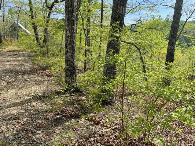 0 Hurricane Drive, Smithville, TN 37166