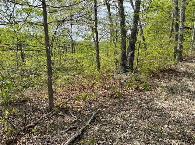 0 Hurricane Drive, Smithville, TN 37166