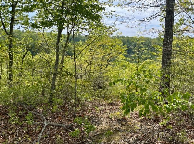0 Hurricane Drive, Smithville, TN 37166