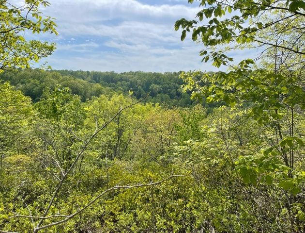0 Hurricane Drive, Smithville, TN 37166