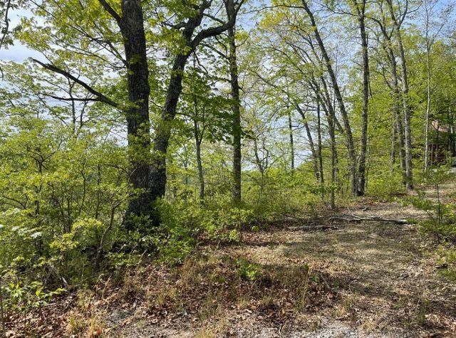 0 Hurricane Drive, Smithville, TN 37166