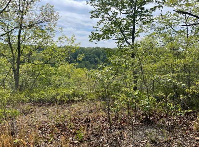 0 Hurricane Drive, Smithville, TN 37166