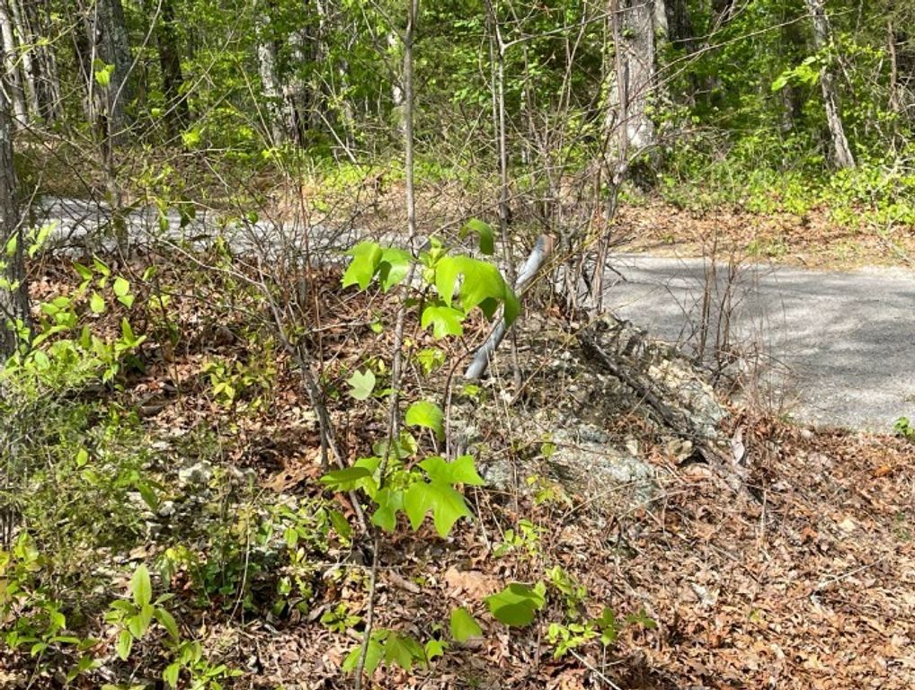 0 Hurricane Drive, Smithville, TN 37166