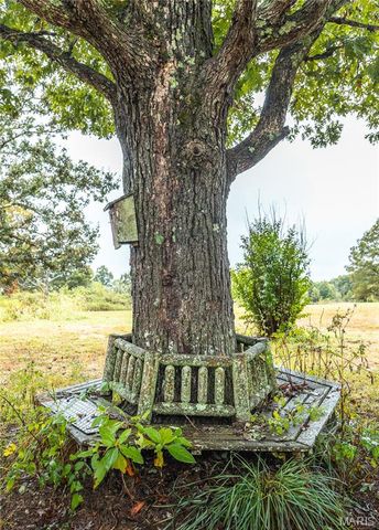 807 County Road 6410, Salem, MO 65560