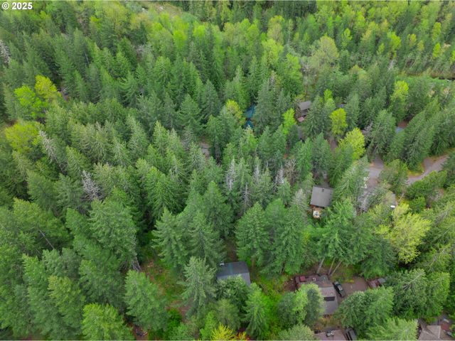 72683 E VILLAGE LOOP Rd, Rhododendron, OR 97049