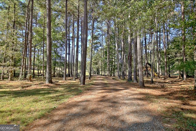8046 Roosevelt Highway, Warm Springs, GA 31830