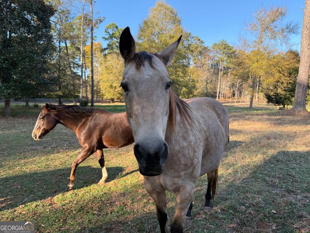 8046 Roosevelt Highway, Warm Springs, GA 31830