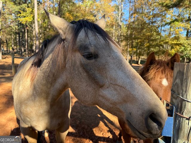 8046 Roosevelt Highway, Warm Springs, GA 31830