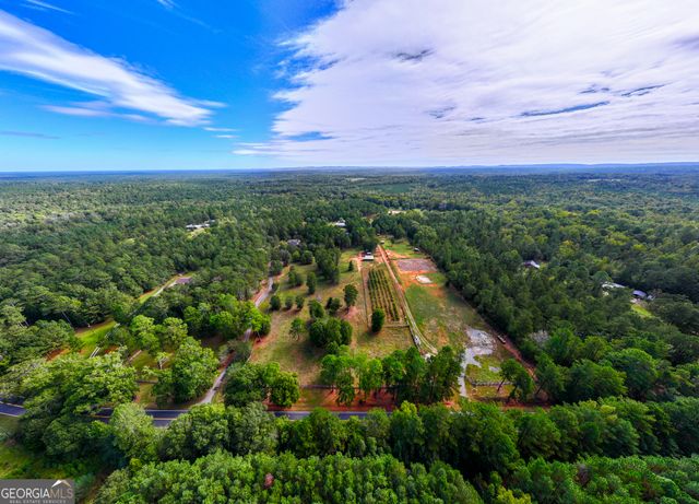 8046 Roosevelt Highway, Warm Springs, GA 31830