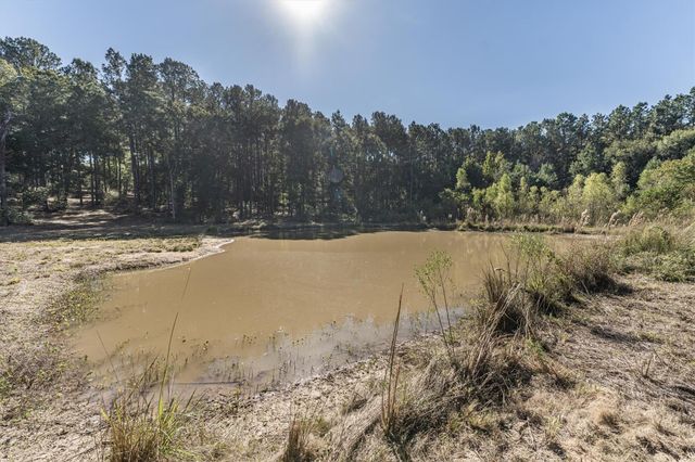 12903 Elrod Street, Conroe, TX 77303