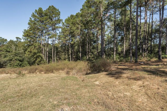 12903 Elrod Street, Conroe, TX 77303