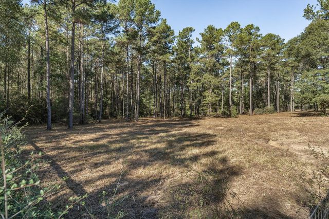 12903 Elrod Street, Conroe, TX 77303