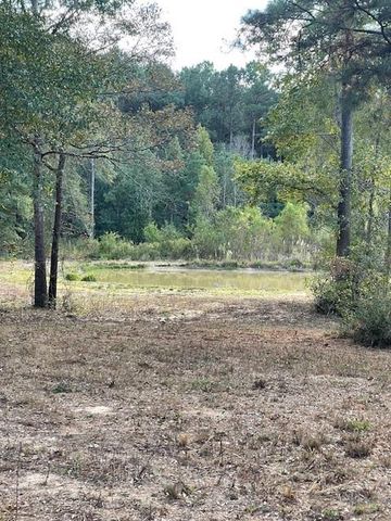 12903 Elrod Street, Conroe, TX 77303