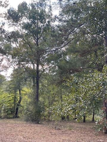 12903 Elrod Street, Conroe, TX 77303