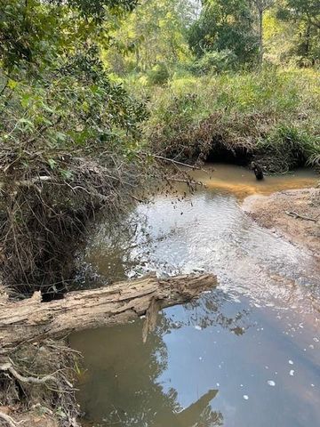 12903 Elrod Street, Conroe, TX 77303