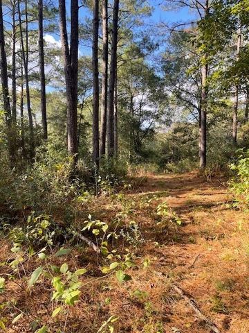 12903 Elrod Street, Conroe, TX 77303