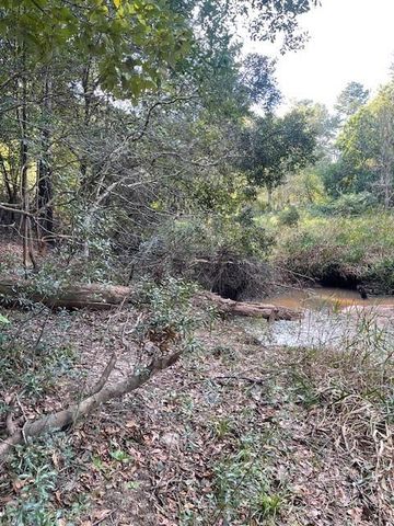 12903 Elrod Street, Conroe, TX 77303