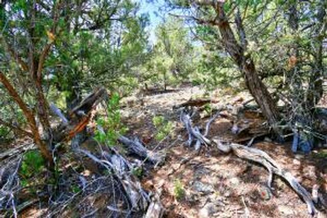 12141 North Hwy 14, Cedar Crest, NM 87008