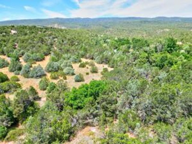 12141 North Hwy 14, Cedar Crest, NM 87008