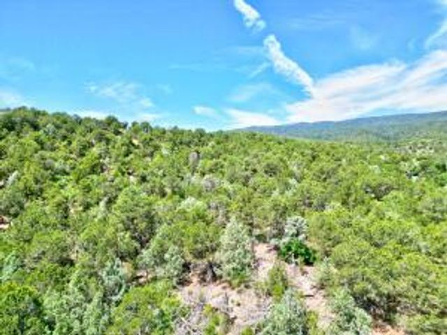 12141 North Hwy 14, Cedar Crest, NM 87008