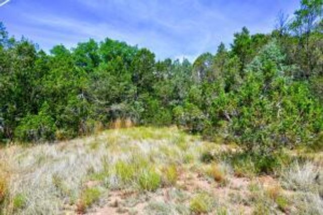 12141 North Hwy 14, Cedar Crest, NM 87008