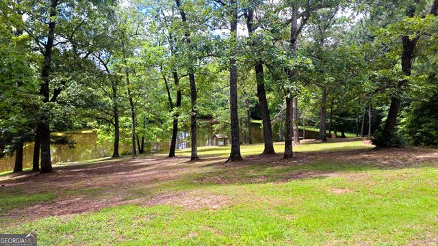 112 Brannon Road, Buchanan, GA 30113