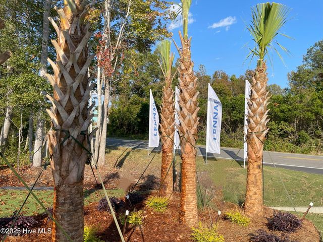 3394 Wood Stork Drive SW Litchfield Il Lot 35, Ocean Isle Beach, NC 28469