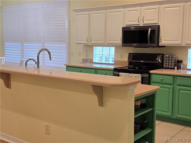 619 W Doerr Path, Hernando, FL 34442