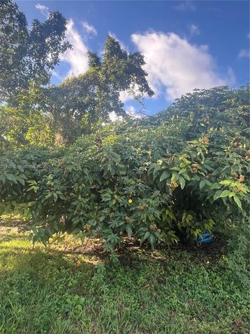 17540 SW 254th Street, Homestead, FL 33031