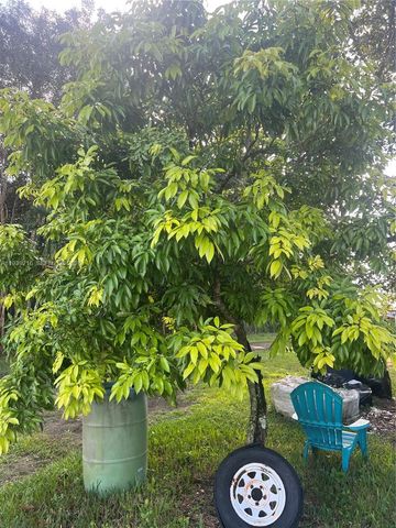 17540 SW 254th Street, Homestead, FL 33031