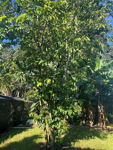 17540 SW 254th Street, Homestead, FL 33031