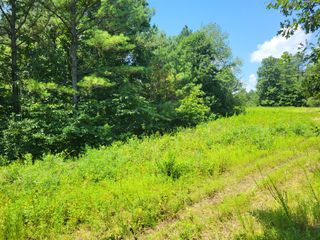 3 Strawberry Gables, Holladay, TN 38341