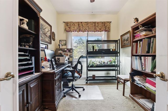 3020 PALERMO COURT, Mount Dora, FL 32757