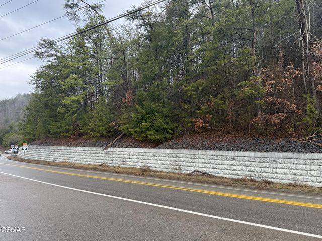 0 Birds Creek Road, Sevierville, TN 37876