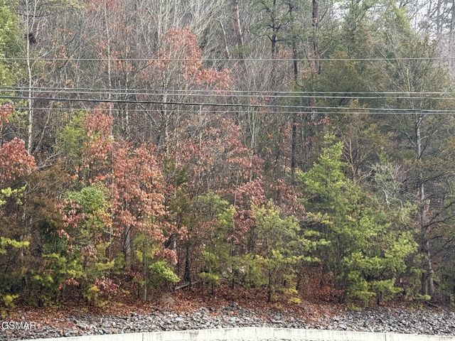 0 Birds Creek Road, Sevierville, TN 37876
