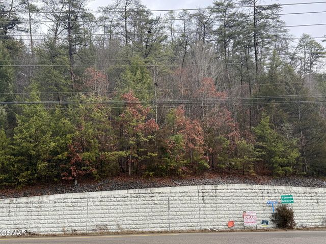 0 Birds Creek Road, Sevierville, TN 37876