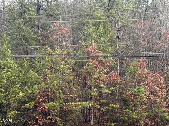 0 Birds Creek Road, Sevierville, TN 37876