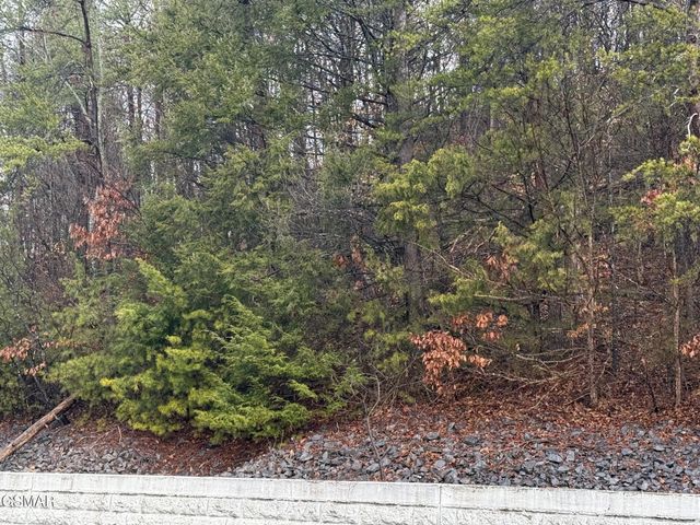 0 Birds Creek Road, Sevierville, TN 37876