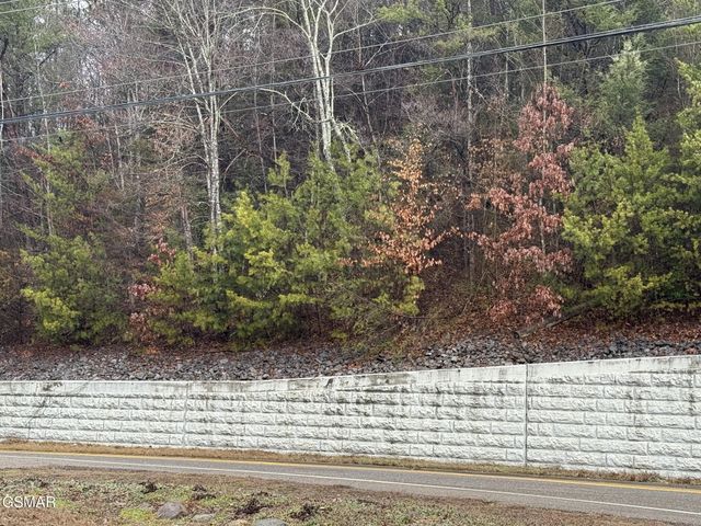 0 Birds Creek Road, Sevierville, TN 37876