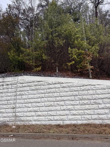 0 Birds Creek Road, Sevierville, TN 37876