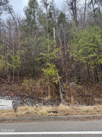 0 Birds Creek Road, Sevierville, TN 37876