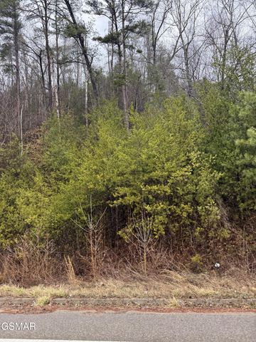 0 Birds Creek Road, Sevierville, TN 37876