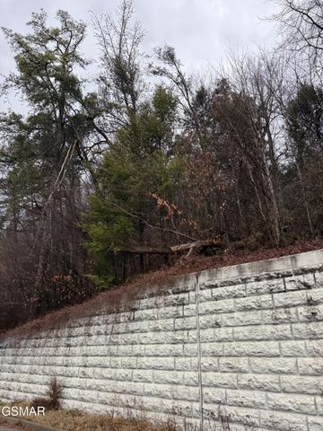 0 Birds Creek Road, Sevierville, TN 37876