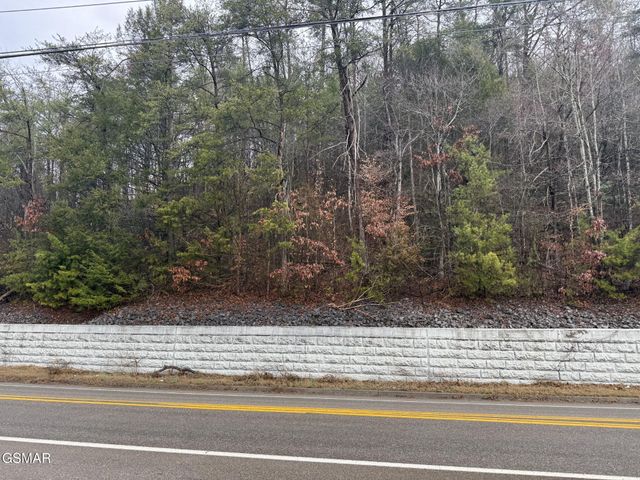 0 Birds Creek Road, Sevierville, TN 37876