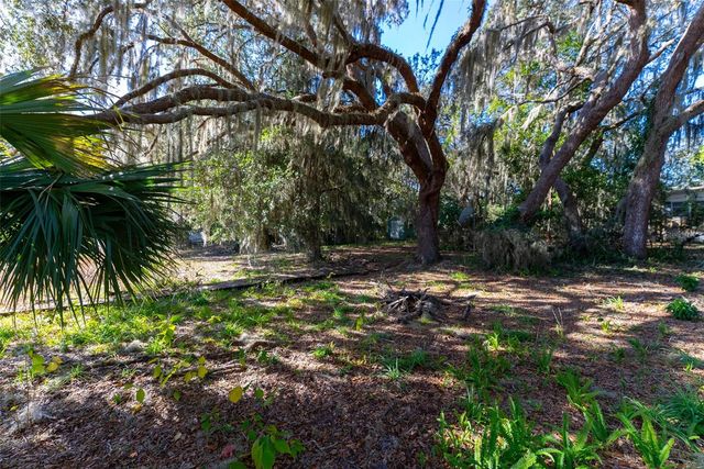 24971 NE 135TH STREET, Salt Springs, FL 32134