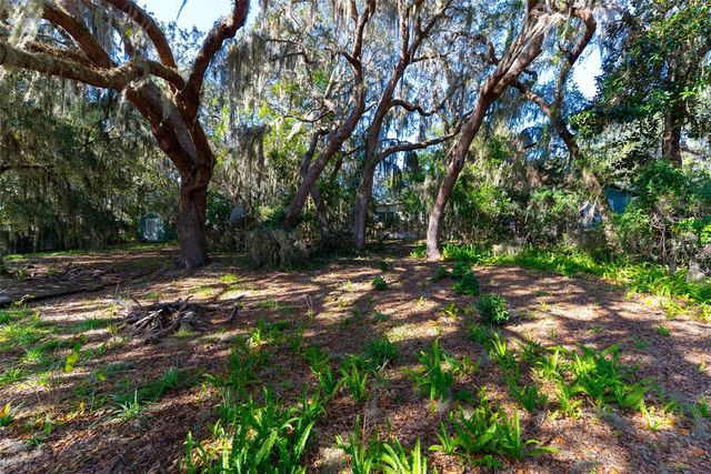 24971 NE 135TH STREET, Salt Springs, FL 32134