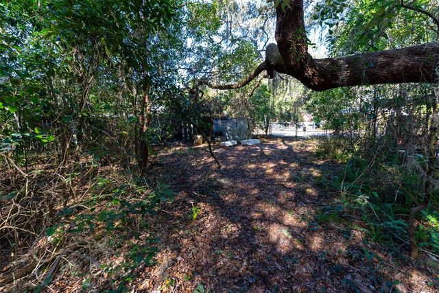 24971 NE 135TH STREET, Salt Springs, FL 32134