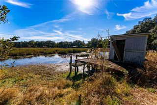 24971 NE 135TH STREET, Salt Springs, FL 32134