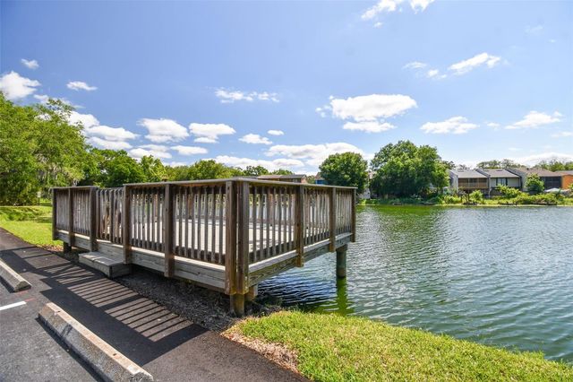 7015 WATERSIDE DRIVE 1, Tampa, FL 33617